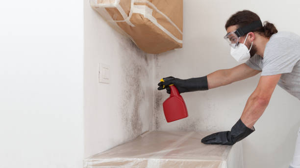 Professional Commercial Mold Remediation technician working in Livingston, TX